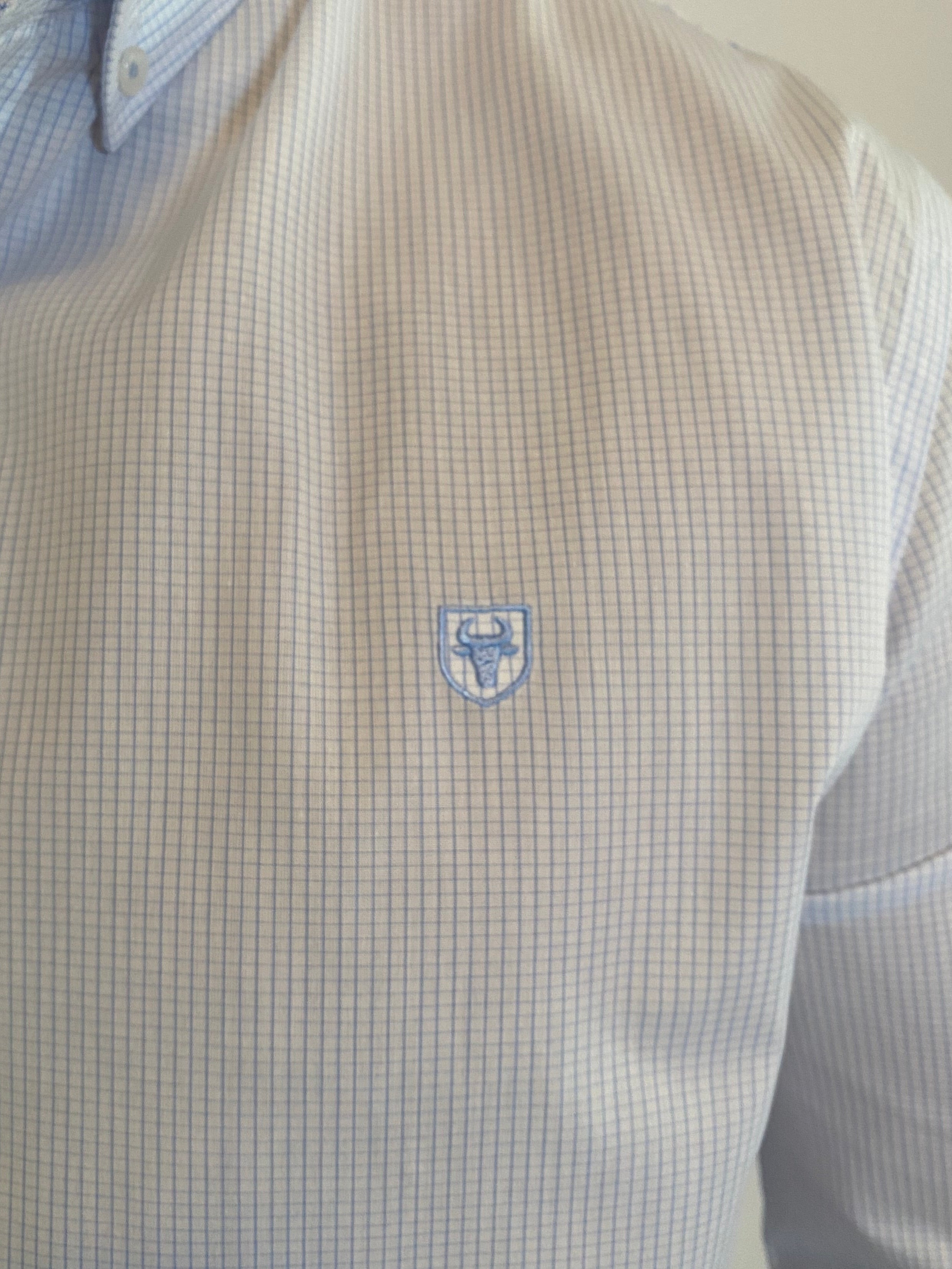 Camisa Oxford Cuadros Pequeños Azul