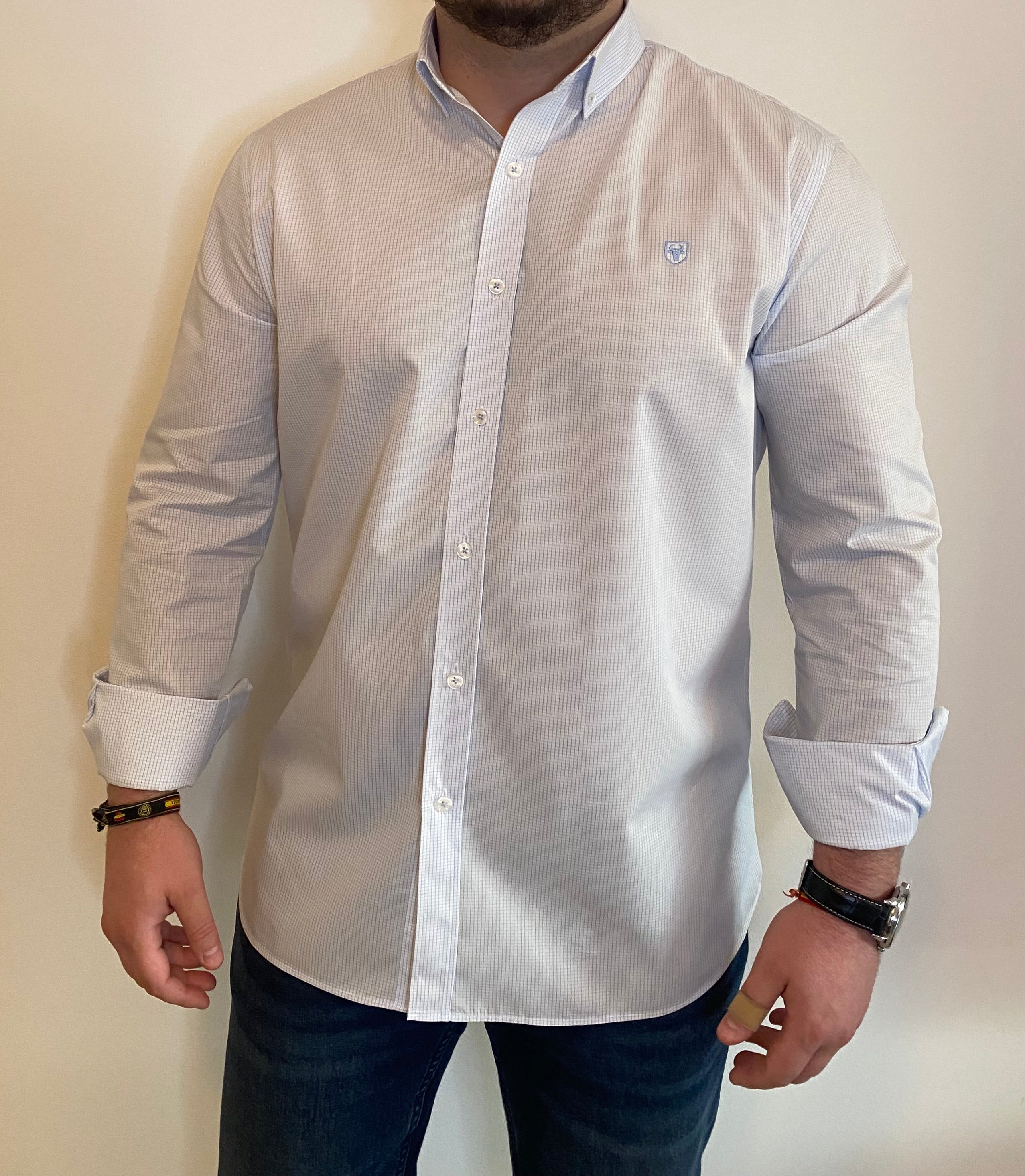 Camisa Oxford Cuadros Pequeños Azul