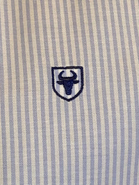 Camisa Blanca Oxford Rayas Azules